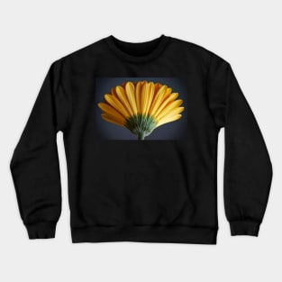 Yellow Daisy Gerbera Crewneck Sweatshirt